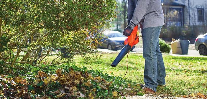 The Best Leaf Blowers for cleaning gardens - Top 10 Buying Guide